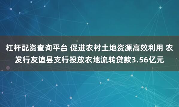 杠杆配资查询平台 促进农村土地资源高效利用 农发行友谊县支行投放农地流转贷款3.56亿元