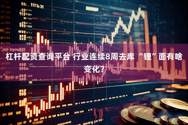 杠杆配资查询平台 行业连续8周去库 “锂”面有啥变化？